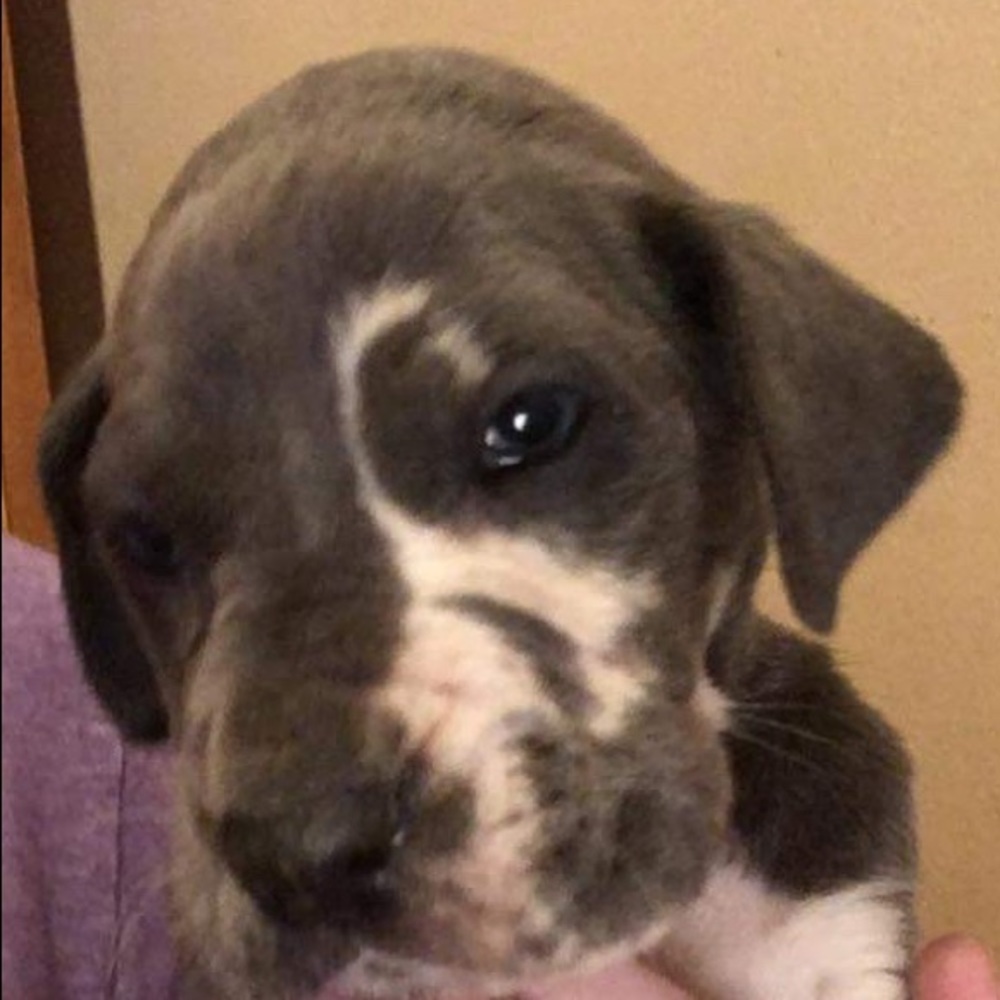 Meet your Posher, Kaitlyn